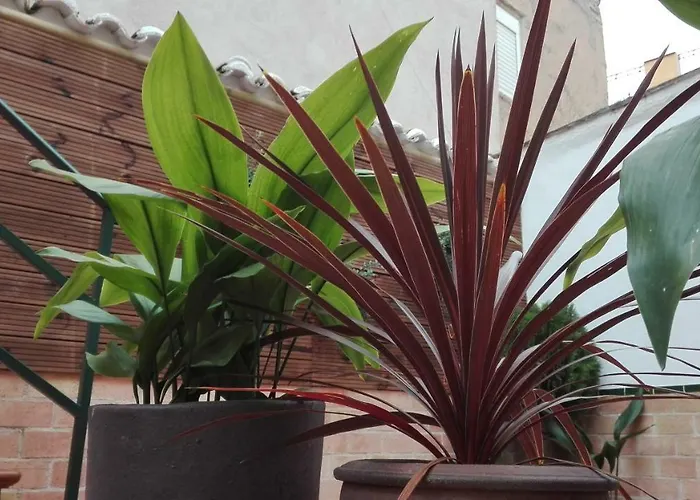 La Casa De Abuelas * Toledo