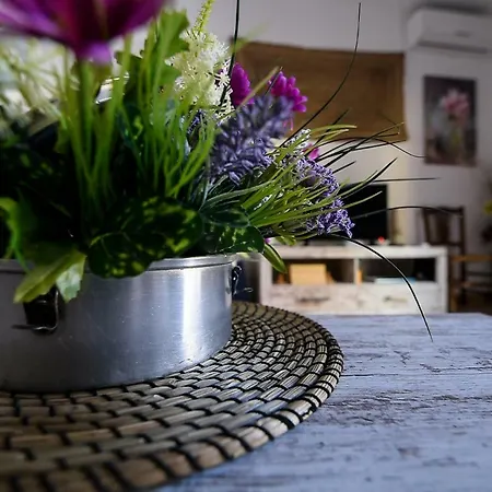 La Casa De Abuelas *