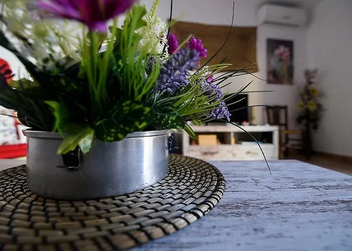 La Casa De Abuelas *